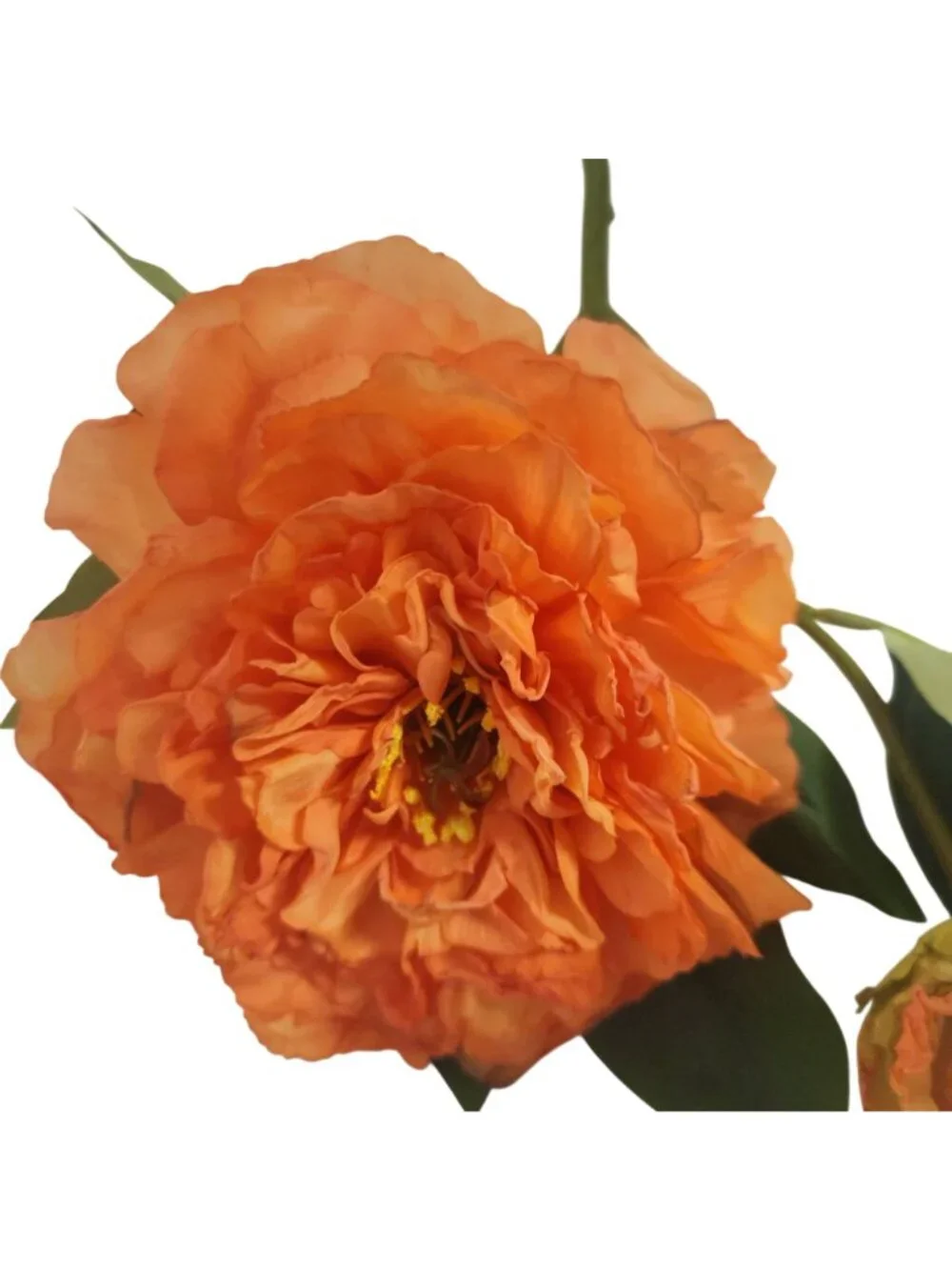 Coral Orange Artificial Peony Flower Stem 19 Inch Faux Floral 6 Inch Bloom Weddi